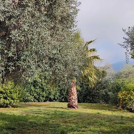 елена-villa Elena 1 Σπίτι διακοπών Σκάλα Ποταμιάς